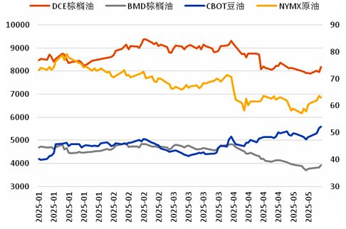 棕榈油缘何出现“过山车”行情？