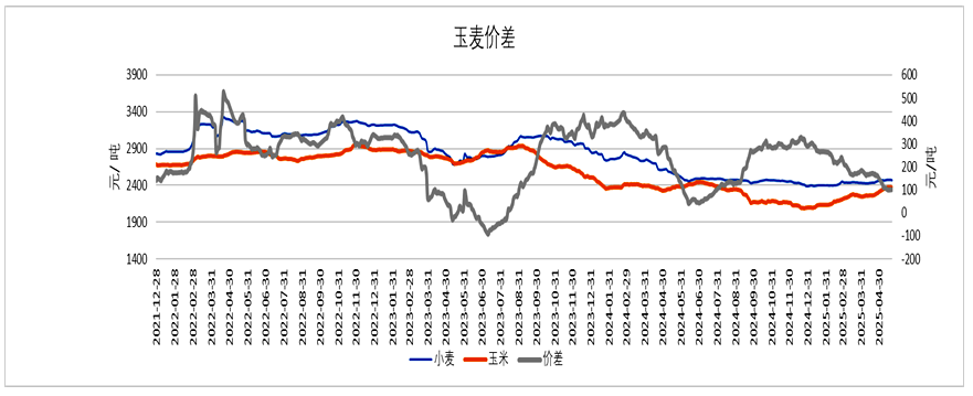 进口骤减、麦价坚挺，玉米能否再涨？