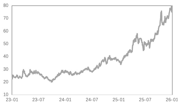 高波动洗礼与提保压力下的贵金属及铜市韧性