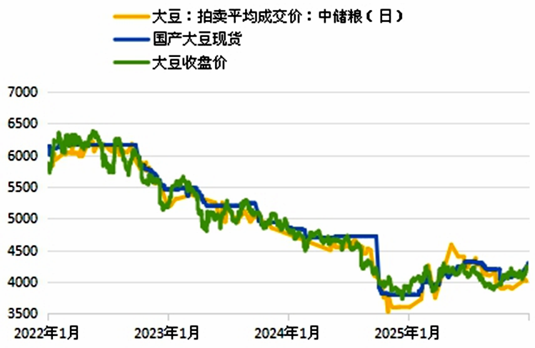 越拍越涨！揭开国内外大豆市场分化之谜