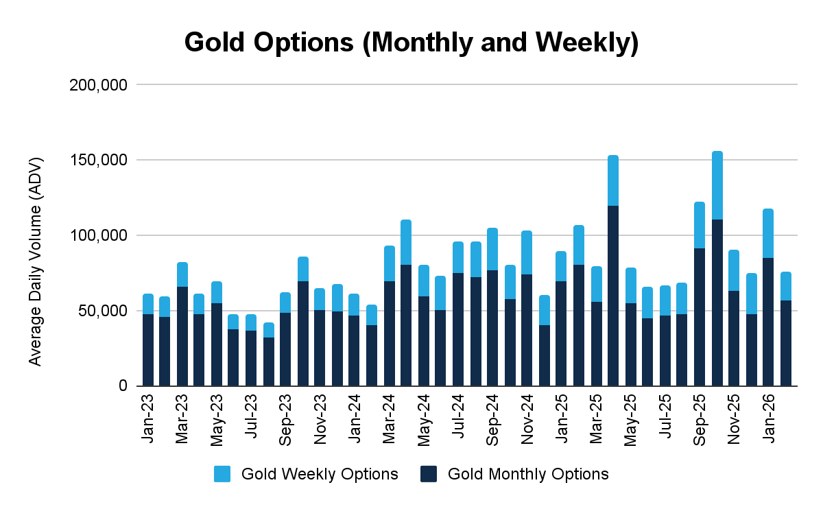 2026年2月金属期权报告
