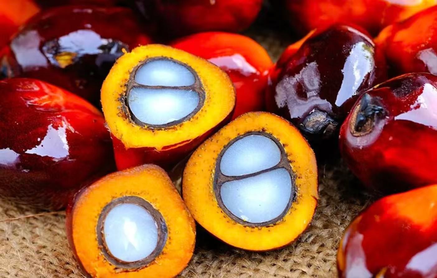 棕榈油冲击万元，谁在“添油加火”？