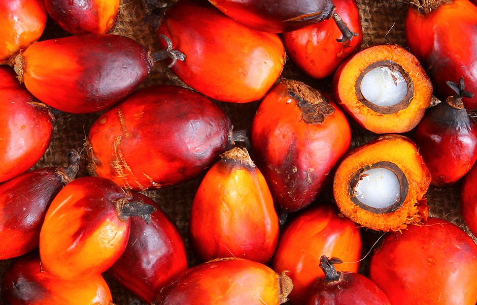 棕榈油：是否已进入下行通道？