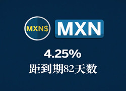 芝商所洗售交易规则网络讲座一：洗售交易网络讲座介绍